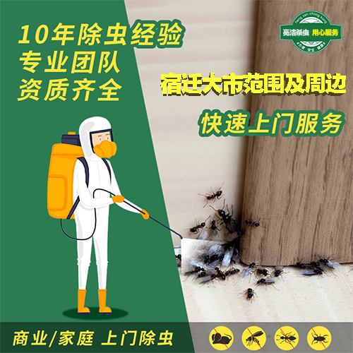 宿遷消殺服務(wù),除四害公司-上門殺蟲/滅鼠/蟑螂/螞蟻/蚊蠅服務(wù)