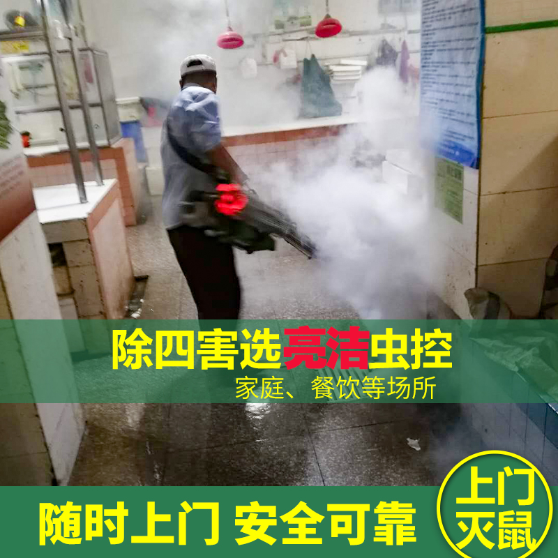 殺蟲服務(wù)公司 如何有效滅老鼠？