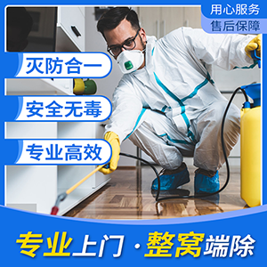 宿遷殺蟲公司滅蟑螂有哪些方法？