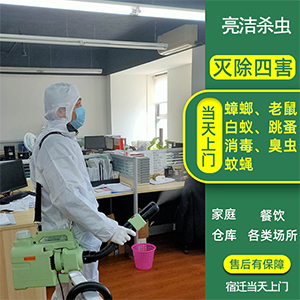 快速解決蟲(chóng)害煩惱，宿遷殺蟲(chóng)滅鼠公司哪家好？