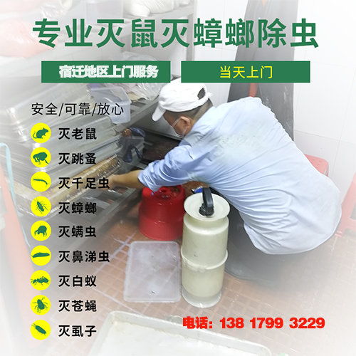 宿遷專業(yè)滅鼠團(tuán)隊(duì).png 宿遷專業(yè)滅鼠團(tuán)隊(duì).png