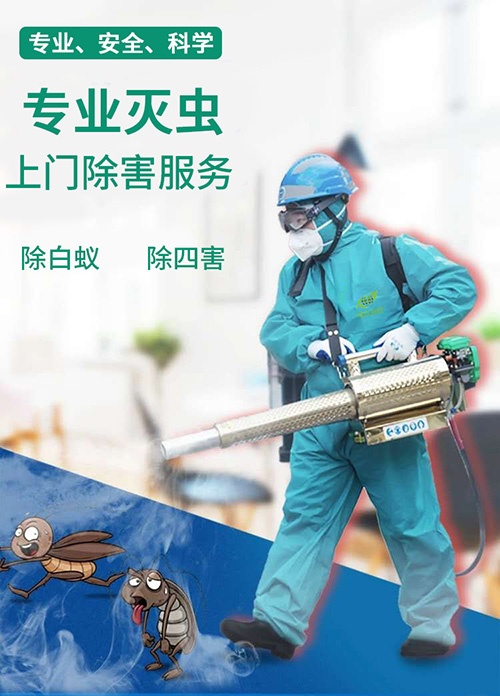宿遷消殺服務(wù),除四害公司-上門(mén)殺蟲(chóng)/滅鼠/蟑螂/螞蟻/蚊蠅服務(wù)