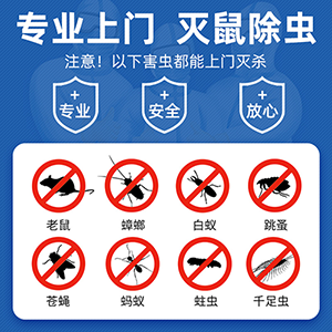 春節(jié)過(guò)后警惕宿遷市區(qū)老鼠蟑螂等害蟲(chóng)反彈