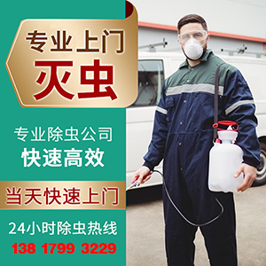 天氣回暖宿遷蟲控消殺除四害提前做好預(yù)防